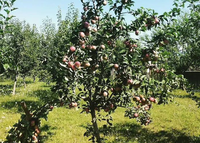 Hotel Rif - Adult Only